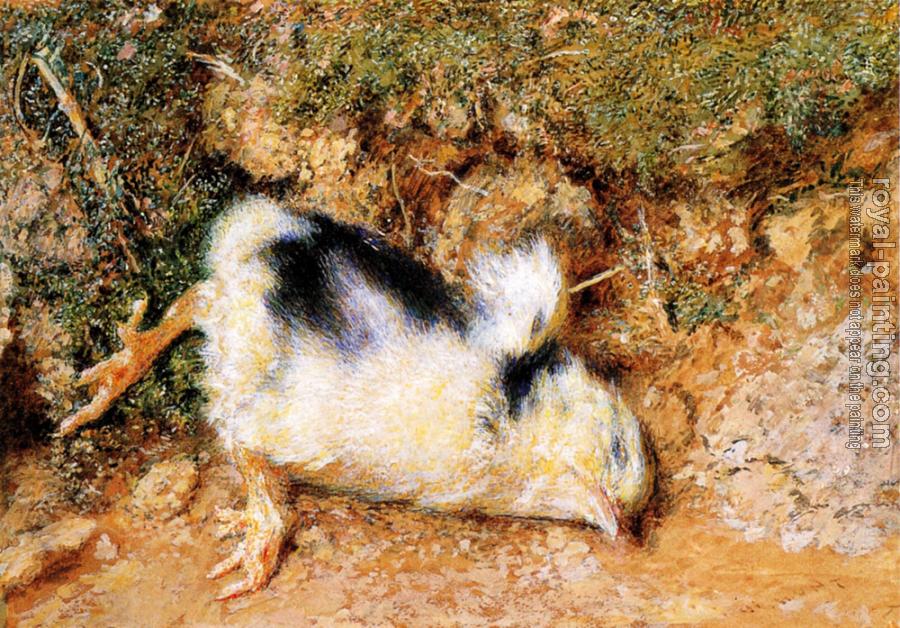 William Holman Hunt : John Ruskin's dead chick